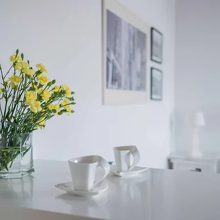 The Charm * Σπλιτ