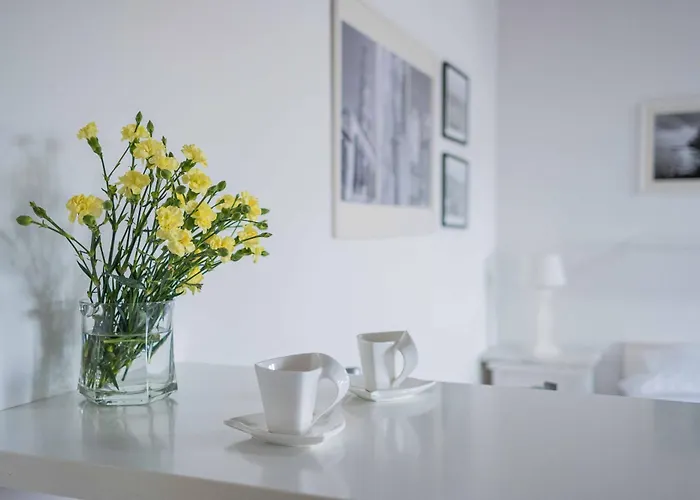 The Charm * Σπλιτ