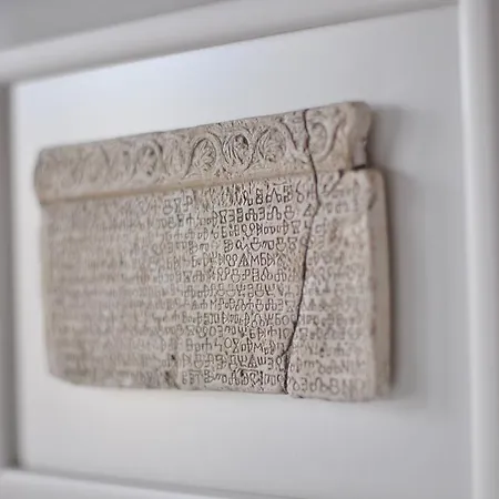 Daire The Charm Split